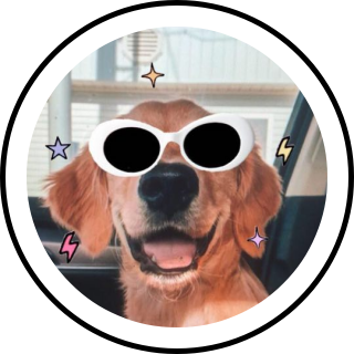 Dog clout hot sale goggles