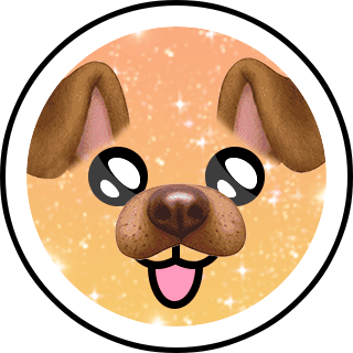 dog filter | Search Snapchat Creators, Filters and Lenses