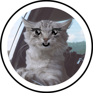 cat  Search Snapchat Creators, Filters and Lenses