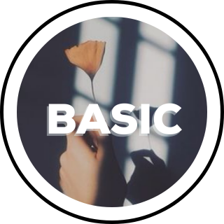 basic Search Snapchat Creators, Filters and Lenses