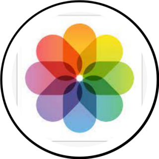 gallery | Search Snapchat Creators, Filters and Lenses