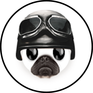 Biker Pug Lens and Filter by Snapchat on Snapchat