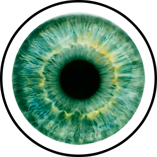 Stolen eyes. Stolen eyes. Stolen eyes. Гитарист the 69 eyes. Stolen eyes.