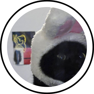 bunny | Search Snapchat Creators, Filters and Lenses