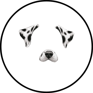 Dalmatian Dog Lens and Filter by Leoni Angela on Snapchat