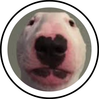 send Search Snapchat Creators, Filters and Lenses