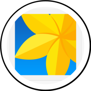 gallery | Search Snapchat Creators, Filters and Lenses