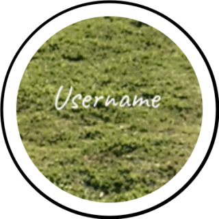 username | Search Snapchat Creators, Filters and Lenses
