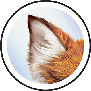 Fox Lens and Filter by Snapchat on Snapchat