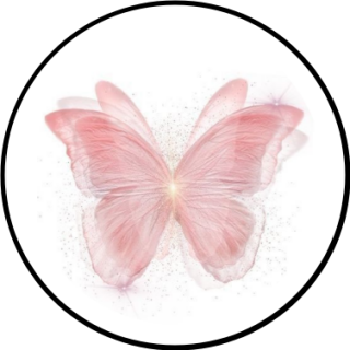 narin | Search Snapchat Creators, Filters and Lenses