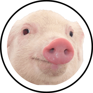 dirty Search Snapchat Creators, Filters and Lenses(04)