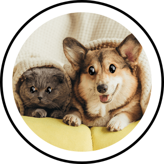 friends | Search Snapchat Creators, Filters and Lenses