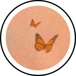 post Search Snapchat Creators, Filters and Lenses