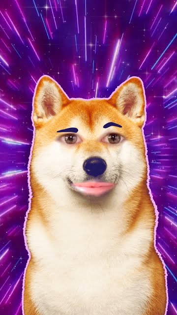 Shiba Inu Space