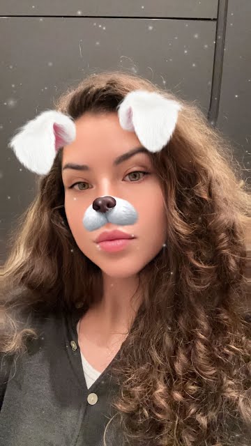 De Mest Popul ra Linserna Och Filtren P Snapchat