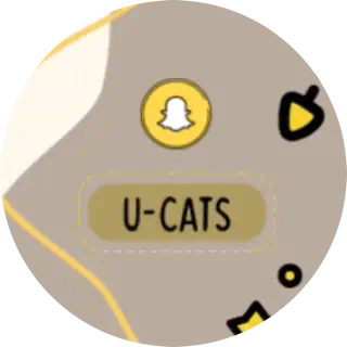 Cats ♥️🐈 (@u-cats) | Snapchat Stories, Spotlight & Lenses